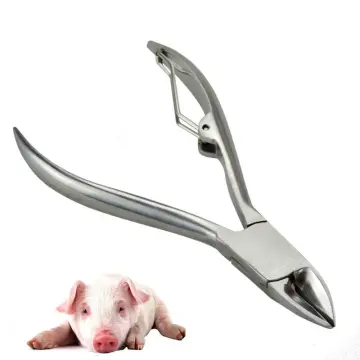 Pig Tooth Nipper Piglets Teeth Clipper For Piglets Rabbits Small
