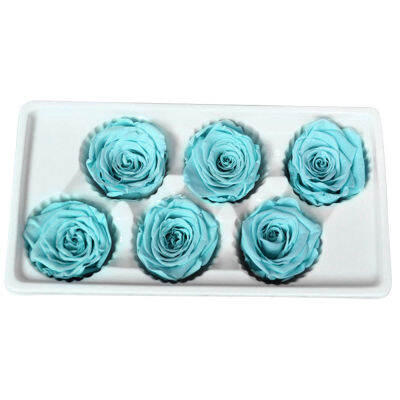 6Pcs 5-6cm Quality Decoration Immortal Wedding Home High Flower Rose Preserved