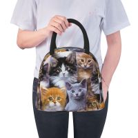 ✚ Portable Lunch Bag Insulated Cooler Picnic Case Cute Cat Pattern Print Thermal Bento Handbag Lunch Container Food Storage Bags