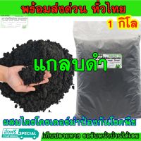 ถูกสุดๆ พร้อมส่ง แกลบดำ 1โล แห้งได้เยอะ ผสมเชื้อไตรโคเดอร์ม่าคุณภาพดี ส่งทุกวัน ใช้ผสมดินเพาะปลูก