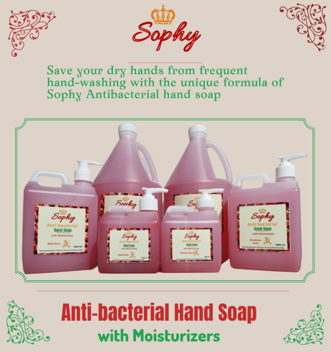 Sophy Anti Bacterial Liquid Hand Soap With Moisturizer Gallon 1000ml 500ml Lazada Ph