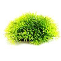 5PCS Simulation Of Aquatic Fish Tank Landscaping Simulation Plant with Base Small Grass