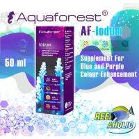 Reef-Aholic Aquaforest Iodum 50 ML ไอโอดัม ขาดไม่ได้สำหรับตู้ทะเล อยากให้ม่วงให้ฟ้ามาจุติ อย่าลืมเค้าสิ อาย โอ  ดำ