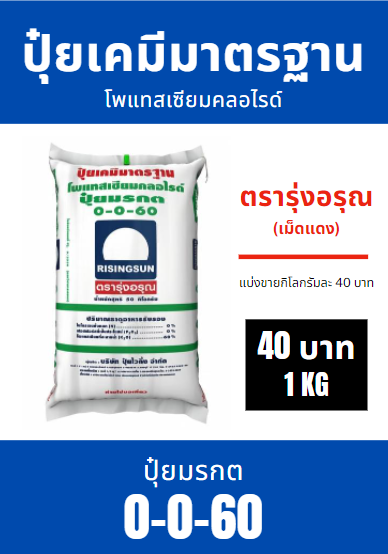 ปุ๋ย-0-0-60-ตรารุ่งอรุณ-เม็ดแดง-บรรจุ-1-กิโลกรัม