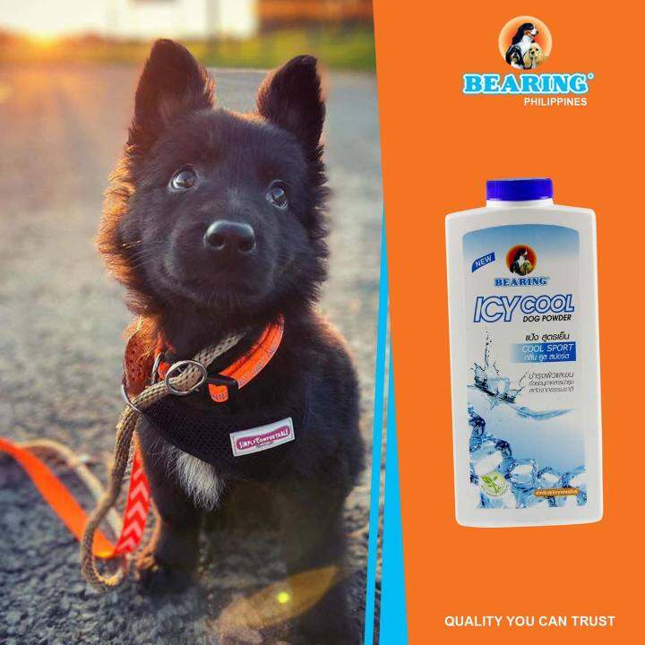 Bearing Icy Cool Dog Powder Deodorant 150g Lazada PH