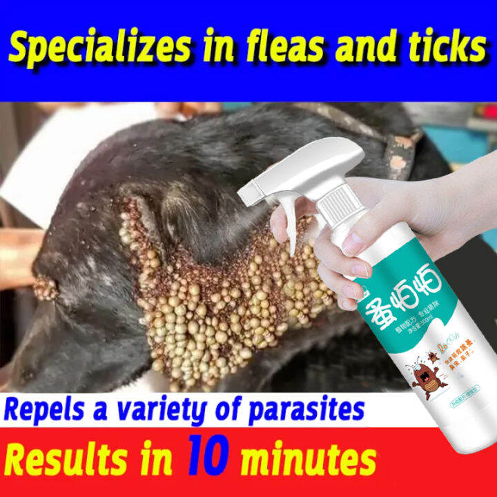 100ml Tick and Flea Spray Pet Mite and Lice Killer Cat and Dog Flea and