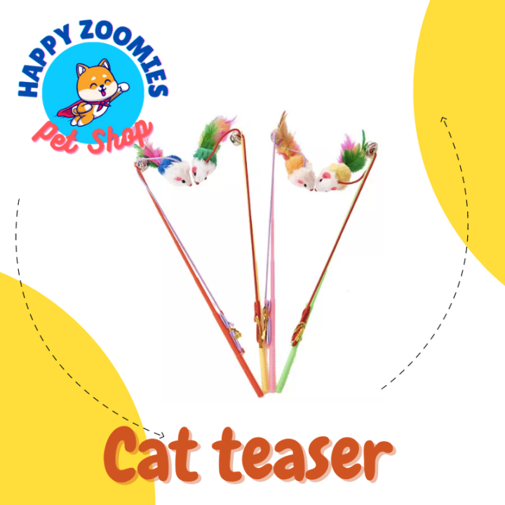 [HAPPY ZOOMIES] Cat teaser Lazada PH