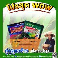 ชุดกำจัดเชื้อรา บำรุงข้าวเล็ก3-5 ไร่ ป้องกันและกำจัดโรคข้าวกาบใบแห้ง ข้าวใบด่าง ข้าวใบไหม้ และบำรุงข้าวจากเชื้อรา คูลเกษตร