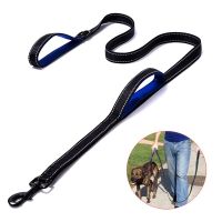 Nylon Reflective Dog Leashes Training Belt Long Line Outdoor Travel Walking Running Dog Rope Control Safety Training Dual Handle