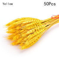 [Duola] 100pcs DRY wheat EAR Flower ดอกไม้แห้งธรรมชาติ DIY Wedding PARTY Home Decor