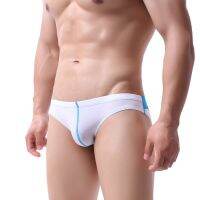 Man Underwear Nylon Flexible Translucence Ultra Thin Invisible Sexy Low Waist Underwear Panties Brief Underpants