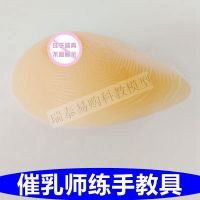 Galactagogue division AIDS silicone breast simulation breast breast milk female reproductive uterine perineum model medical pathology