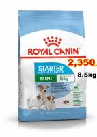 Royal canin Mini starter 8.5kg สำหรับแม่สุนัขพันธุ์เล็กตั้งท้อง-เลี้ยงลูก  Exp:08/2023