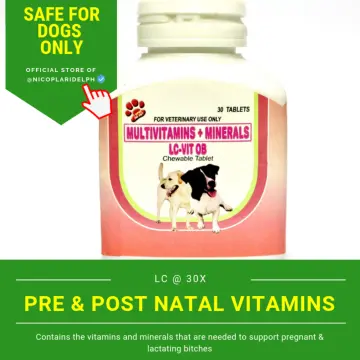 Multivitamin for shop pregnant dogs