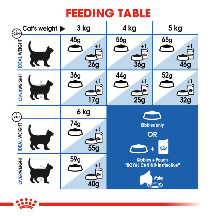 royal-canin-indoor-โรยัล-คานิน-อาหารเม็ดแมวโต-เลี้ยงในบ้าน-อายุ-1-7-ปี-กดเลือกขนาดได้-dry-cat-food