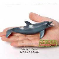 Animal Kingdom - โมเดล Dolphin ปลาโลมา ขนาด 12.00 CM (จากสงขลา)