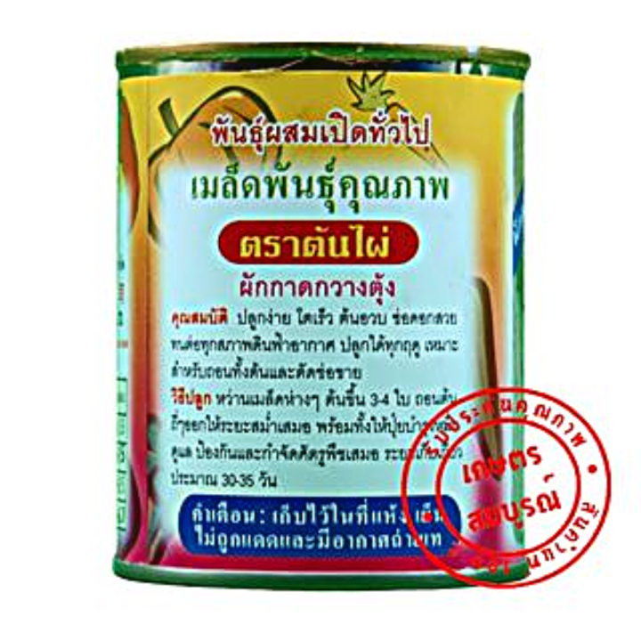 กวางตุ้งดอก-เมล็ดพันธุ์ผักกาดกวางตุ้ง-ดอกช่อขจร-80-ก-ตราต้นไผ่