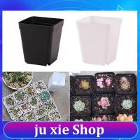 JuXie store 10pcs Planter Pot Trays Mini Square Plastic Flower Pot Home Office Succulent Plants Nursery Pot Green Garden Tools