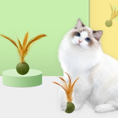 Catnip Mint Treats Removes Hair Balls to Promote Digestion Interactive
