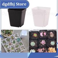 Dgdfhj Shop 10pcs Planter Pot Trays Mini Square Plastic Flower Pot Home Office Succulent Plants Nursery Pot Green Garden Tools