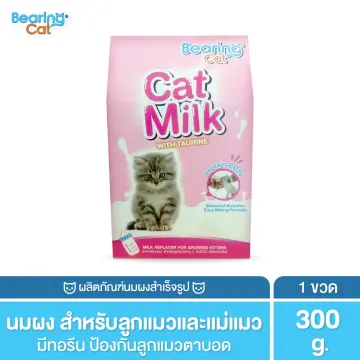 หาซื้อลูกแมว ราคาถูก ซื้อออนไลน์ที่ - ต.ค. 2023 | Lazada.Co.Th