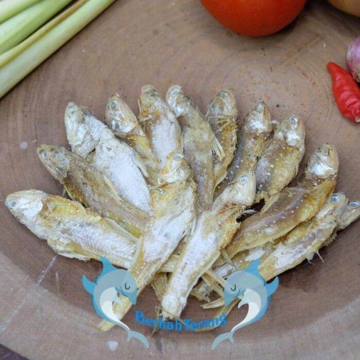 ikan Asin bulu ayam tawar 500gr | Lazada Indonesia
