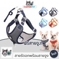 DOG สายรัดอกสุนัข [พร้อมส่ง] DUOMM สายรัดอก ระบายความร้อน สายรัดสุนัข สำหรับสุนัขและแมว สายจูงสุนัข Dog Harness Cleverpet