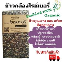 ข้าวกล้องไรซ์เบอรี่ อินทรีย์แท้100% 1กก Organic ข้าวคุณภาพ ไร้สารเคมี ข้าวกล้อง ข้าวไรซ์เบอรี่ ข้าวอินทรีย์ ข้าวเพื่อสุขภาพ