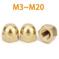 Copper Acorn Cap Nut DIN1587 M3 M4 M5M6 M8 M10 M12 M16 M18M20 Brass Cap Hex Nuts Decorative Dome Head Cover Semicircle Acorn Nut Nails Screws Fastener