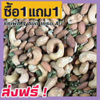 ? ส่งฟรี ?ซื้อ 1 ฟรี 1 ธัญพืช 4 ชนิด (พร้อมทาน) เกรด A ธัญพืชรวม [ 100กรัม ฟรี 100กรัม ] ถั่วรวม ธัญพืชอบแห้ง 4เทพ เม็ดมะม่วงหิมพานต์ ฟักทอง เม็ดทานตะวัน อัลมอนด์ เม็ดม่วง หัวครก ยาร่วง