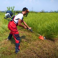 Vejl90daztg Mesin Yiangan Mesin Pemotong Rumput Emat Tak Ransel Rumah Tangga Kecil Multifungsi Bensin Gurun Reklamasi Ripper Unpenniangan