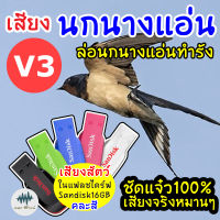 เสียงต่อนกนางแอ่นV3 (เสียงนอกดึงนก) เมม/แฟลชไดร์ฟเสียงเรียกนกแอ่นทำรัง มีเก็บเงินปลายทาง ชัดแจ๋วเข้าไว100%ไม่มีโฆษณาแทรก MP3เสียงเรียกนก