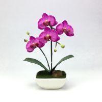 OrientalFineArt ดอกไม้ประดิษฐ์ ดอกกล้วยไม้ปลอม ฟาแลนนอปซิสพร้อมกระถางเซรามิก Artificial Phalaenopsis with Ceramic