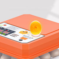 Double-Electric Brooder Brooder Eggs Pcs Hatcher Hatchery Egg Chick อัตโนมัติตุรกี Quail Incubator 16 Bird Full Incubator