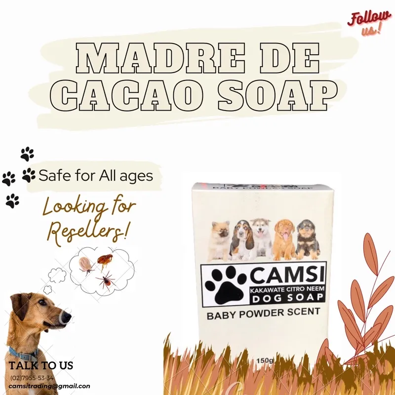 Can Baby Soap Be Used On Dogs