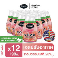 Renuzit Wildflower Dream รีนูซิต เจลปรับอากาศ กลิ่นไวลด์ฟาวเวอร์ดรีม 198 กรัม (12 ชิ้น)