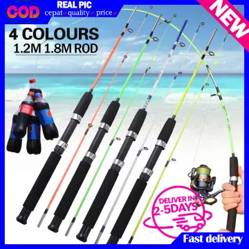 Buy 2 Piece Fishing Rod online
