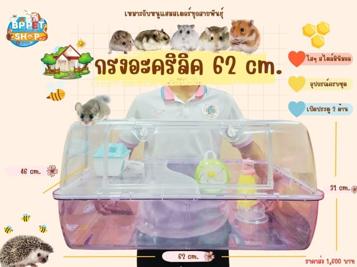 กรงหนูแฮมสเตอร์-กรงเม่นแคระ-กรงอะคริลิค-62cm-br62-กรงใส-กรง-สำหรับสัตว์เลี้ยง-แฮมสเตอร์-เม่นแคระ-กรงสัตว์เล็ก