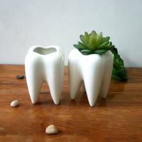 【CC】 Pot Shaped Arrangement Vases Desktop Potted Succulent Small Ornament