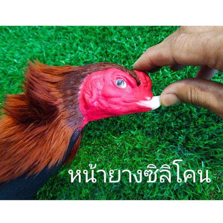 ตุ๊กตาไก่-ไก่ปลอม-ไก่ยางตุ๊กตา-ไก่นวม-เหมือนไก่จริงที่สุด-ออกกำลังกายไก่-ฝึกไก่-ไก่ยางซิลิโคน-กีฬาและกิจกรรมกลางแจ้ง-แดงแจ้-ส่งฟรี