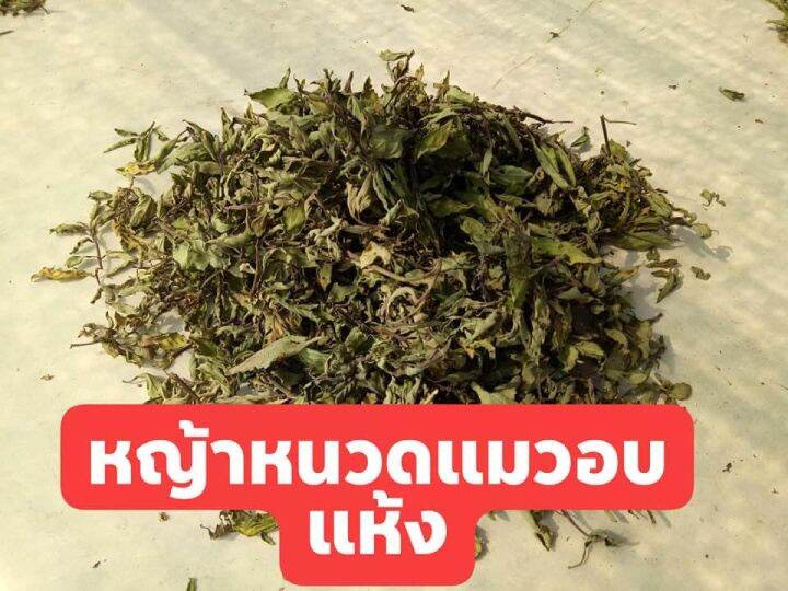 100-กรัม-หญ้าหนวดแมวแห้ง-ออแกนิค-ใหม่-คุณภาพดี-100