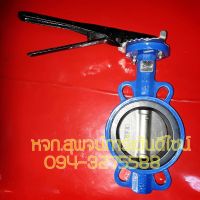 Butterfly Valve 3