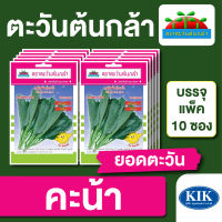 ผักซอง ตะวันต้นกล้า SP คะน้า ยอดตะวัน บรรจุแพคล่ะ 10 ซอง ราคา 64 บาท