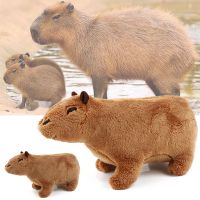 【CW】∋∋✠  Capybara Stuffed Animals Soft Dolls Real Kids Peluche