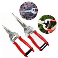 [AMO Garden Decoration]การป้องกันการลื่น Pruner สวนกรรไกรกรรไกรตัดแต่งกิ่งไมโครเคล็ดลับการตัดแต่งกิ่ง S Nips ใบ T Rimmer ตรงกรรไกรสำหรับพืชเครื่องมือตัดแต่งกิ่ง