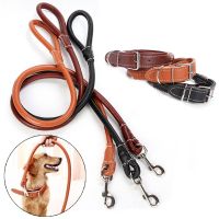 Strong PU Pet Dog Collar Leash for Medium Large Dogs Round Rope Traction Belt Golden Retriever Chain Leads mascotas Accessories