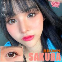 คอนแทคเลนส์ Kitty kawaii รุ่น Sakura Brown (สีน้ำตาล)