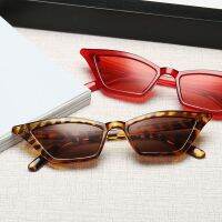 Fashion Women R Fashion Sunglasses Summer Cool