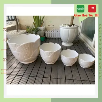 Chậu Cây Nhựa Cứng Giá Tốt T08/2024 | Mua tại Lazada.vn