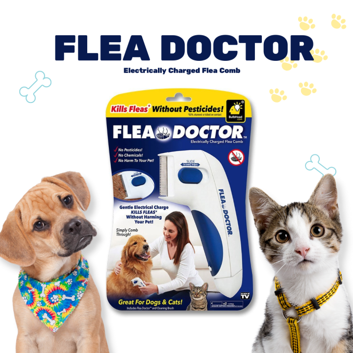 [KAREINA PH] Flea Doctor Uses an Electric Charge to Kill and Remove